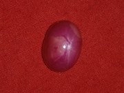 Star Ruby cabochon red and pink to buy at retail or wholesale