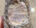Large rough sapphire, ruby corundum turd shape crystal in Mica. 
